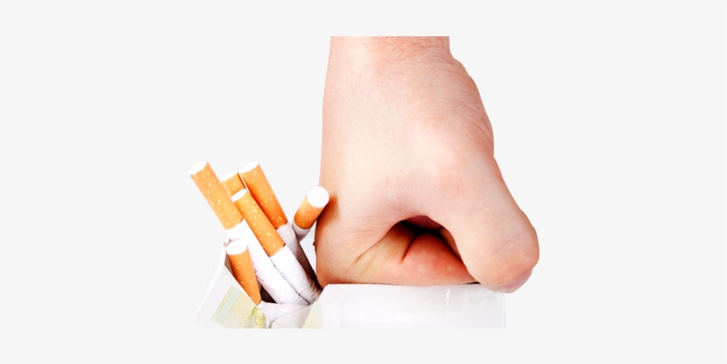 Nosso Blog - Bueno Fumar, transparent png #2890699