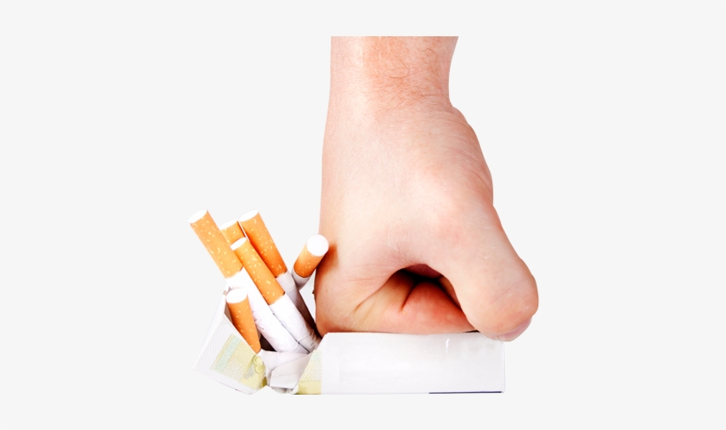 Nosso Blog - Paper, transparent png #2890776