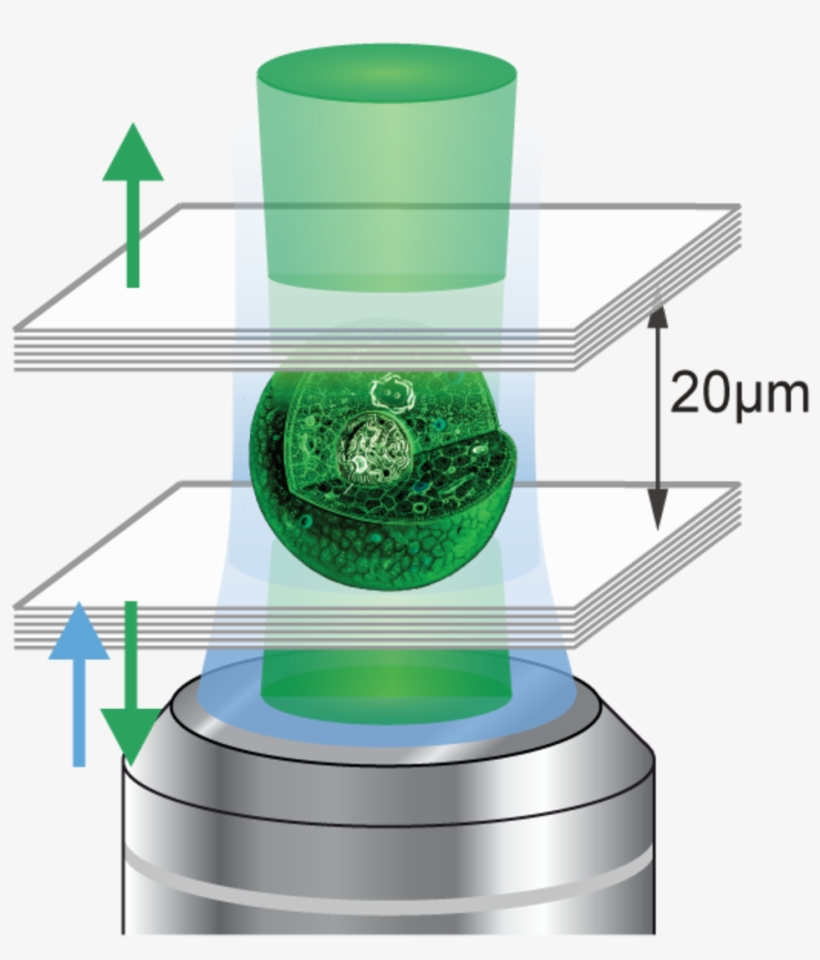 Living Laser Schematic - Laser Quimico, transparent png #2891051