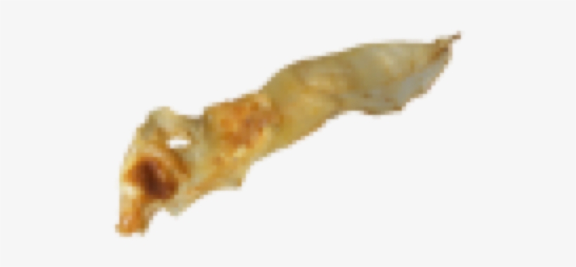 Rabbit, transparent png #2892095