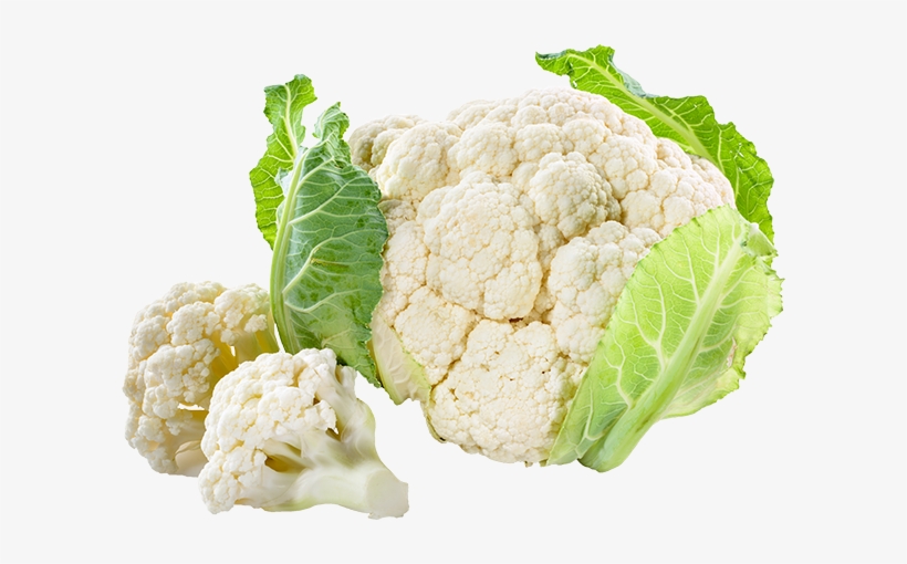 cauliflower transparent cauliflower half free image no copyright free transparent png download pngkey