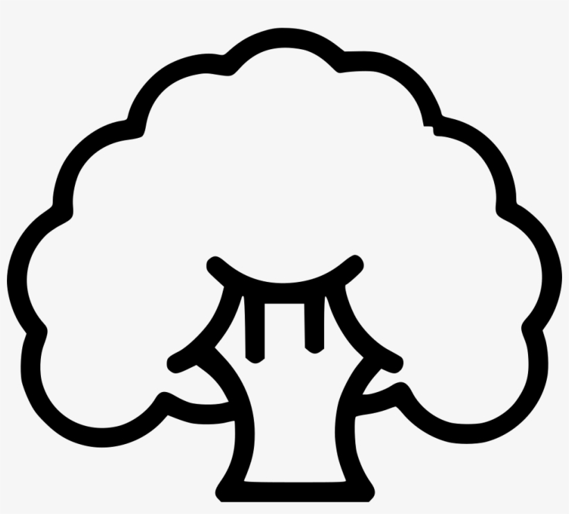 Broccoli Fibre Healthy Food Cauliflower Comments - Cauliflower, transparent png #2892723