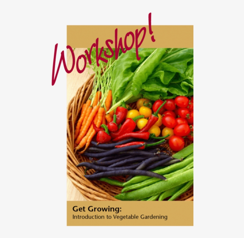 Introduction To Vegetable Garden Workshop - Pcos Vegetables, transparent png #2892779