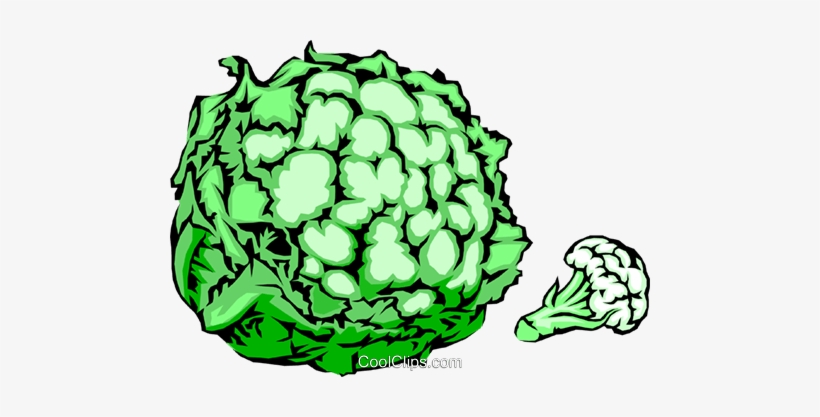 Head Of Cauliflower Royalty Free Vector Clip Art Illustration - Illustration, transparent png #2893231
