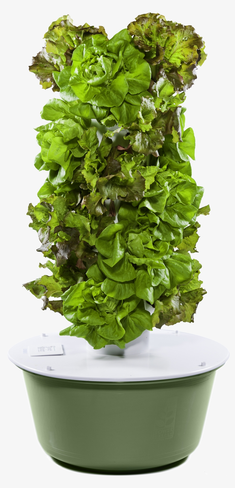 Jliba - Towergarden - Com - Tower Garden Png, transparent png #2893277