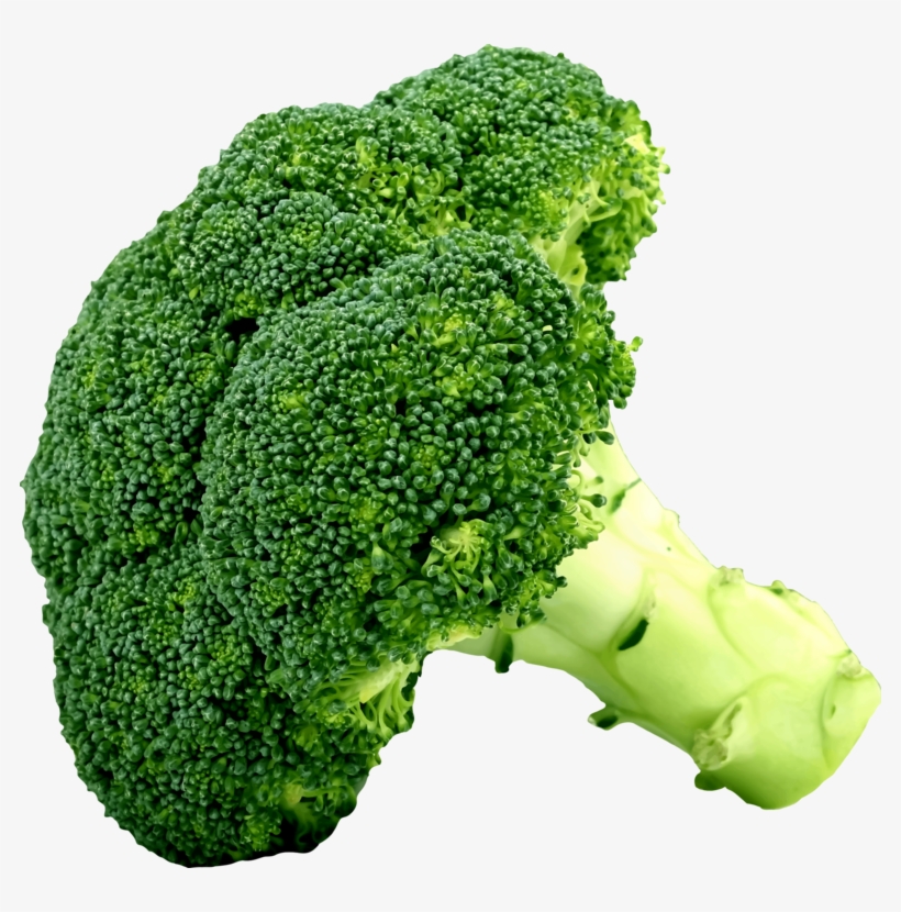 Broccoli Chinese Cabbage Vegetable Cauliflower - Brócoli Png, transparent png #2893444