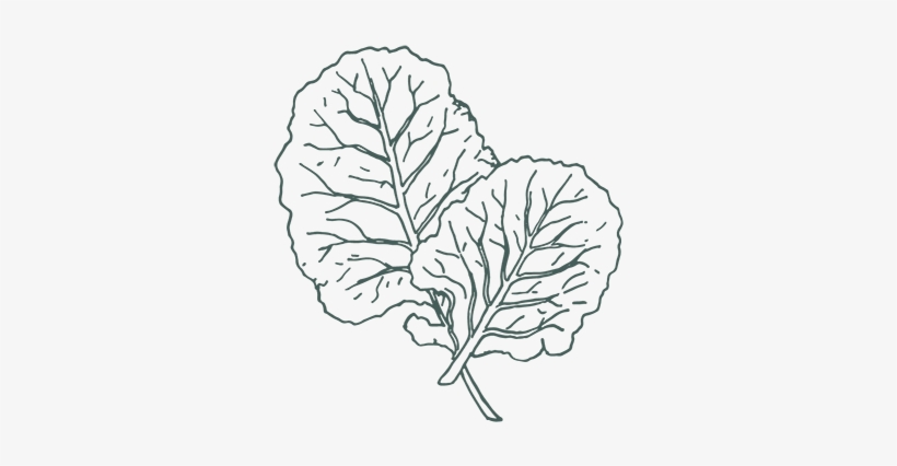 The Backyard Vegetable Garden - Icon, transparent png #2893461
