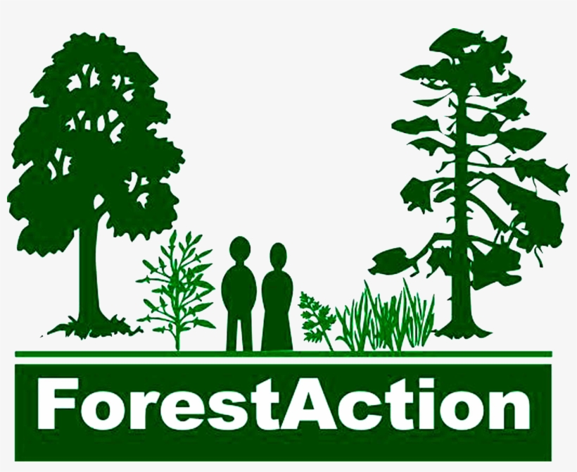 Organization Logo - Sustainable Forest Management Logo, transparent png #2893487