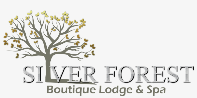 Silver Forest Logo - Silver Forest Boutique Lodge And Spa, transparent png #2893724