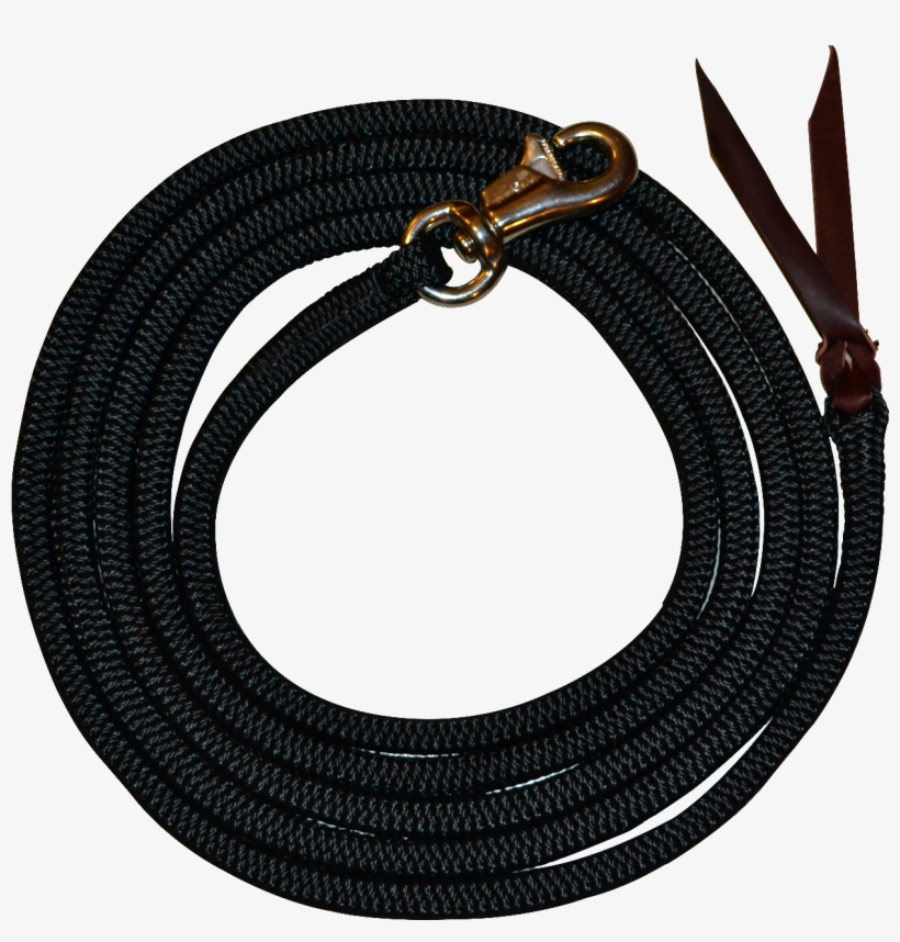 These Ropes Also Have A Leather Popper On The End, - Horse, transparent png #2893932