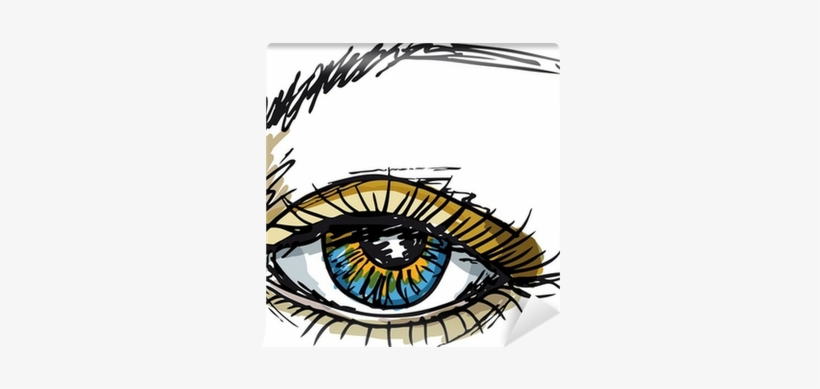 Female Blue Eye - Vector Graphics, transparent png #2895203