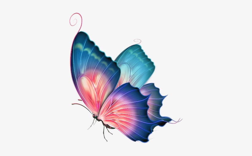 Angel Wings Butterfly Editing Picsart Pretty Www Picturesboss - Beautiful Butterfly Png, transparent png #2895238