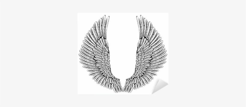 Vinilo Pixerstick Águila O Alas De Ángel • Pixers® - Angel Wings Spread Feather, transparent png #2895300