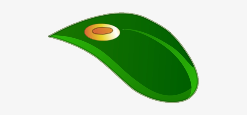 Mahlibuh Petal, transparent png #2895485