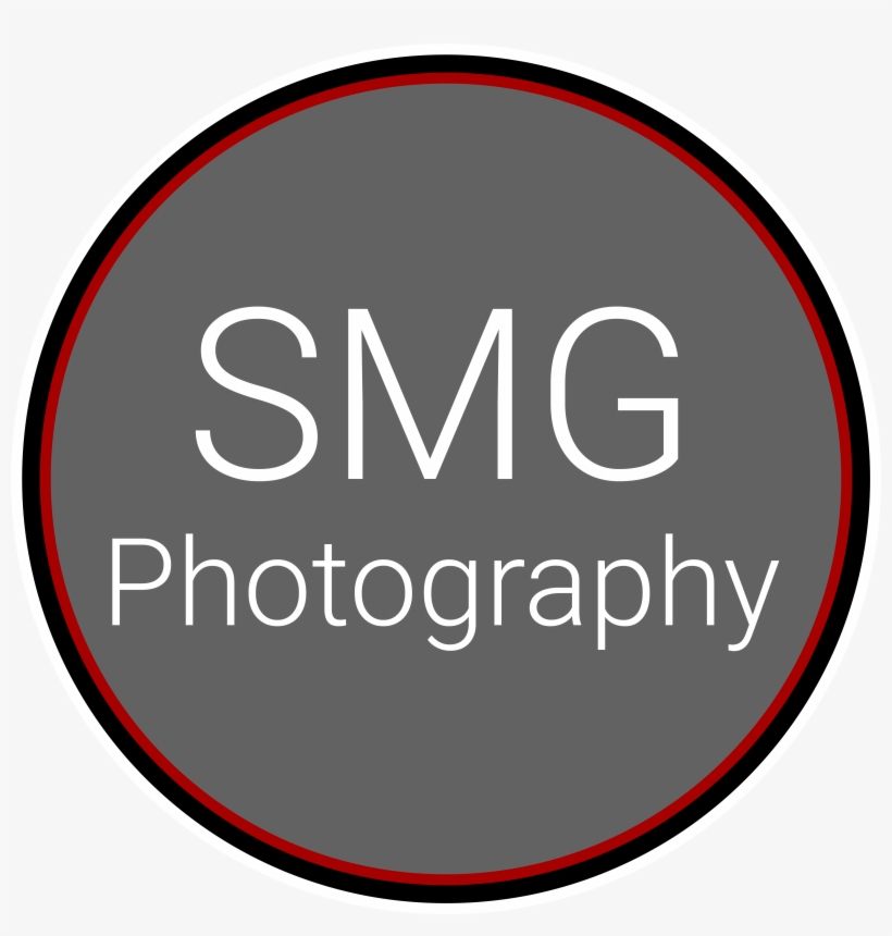 John Snow College Annual College Dinner - Sophie Von Hoyningen Huene, transparent png #2895727