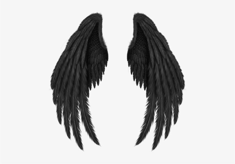 Angel Wing Png - Transparent Black Angel Wings, transparent png #2896025
