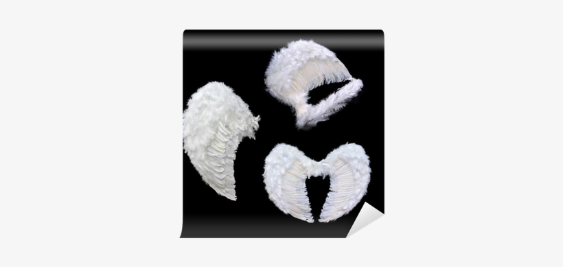 Angel Wing, transparent png #2896051