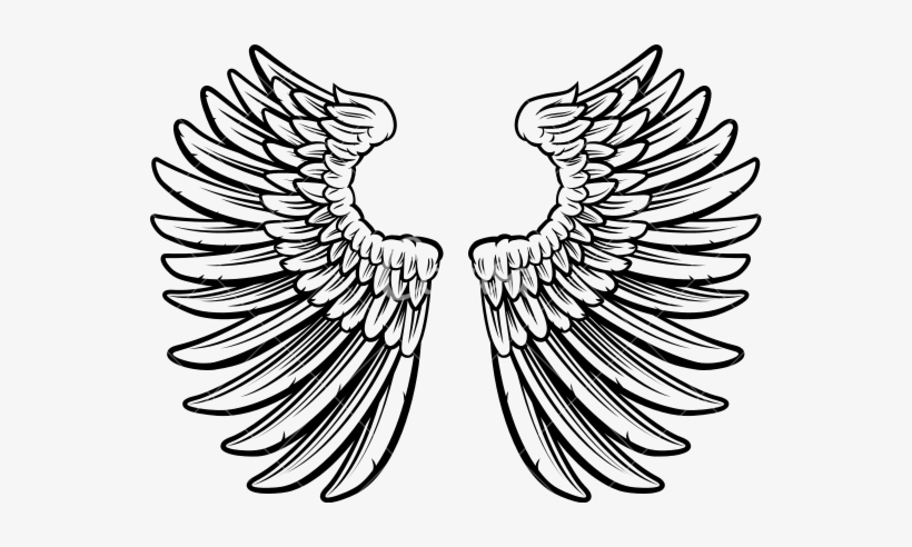 Angel Wings Outline - Vector Graphics, transparent png #2896072