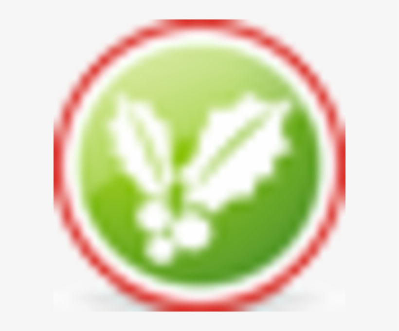 Christmas Mistletoe, transparent png #2896229