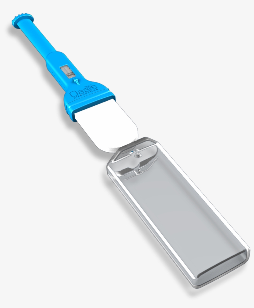 Versi•sal™ L Large Cropped - Saliva, transparent png #2896355