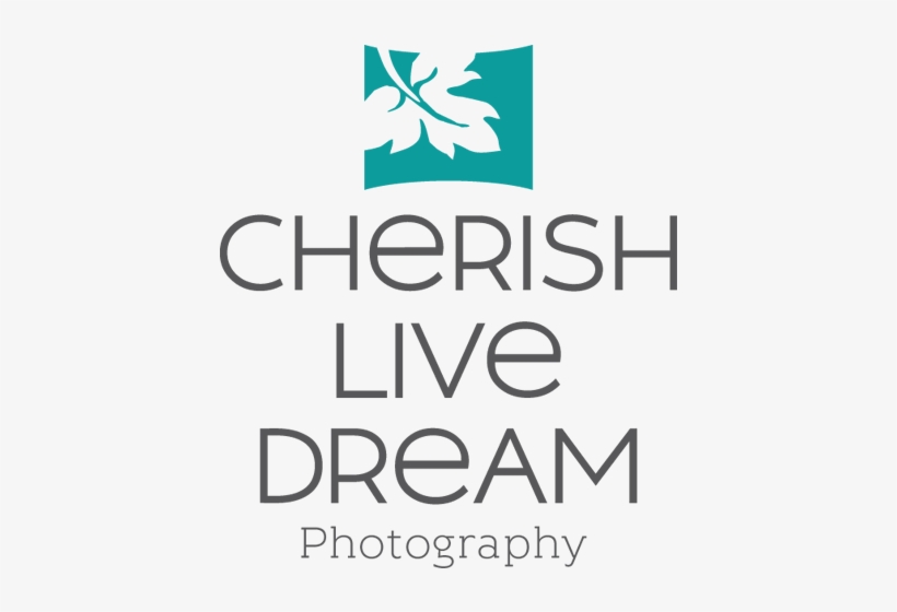Cherish Live Dream Photography, transparent png #2896517