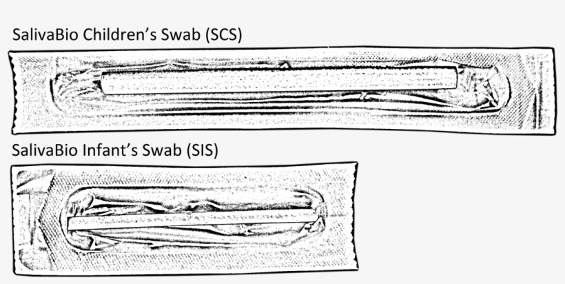 The Scs And Sis Devices Are Manufactured In Longer - Line Art, transparent png #2896654