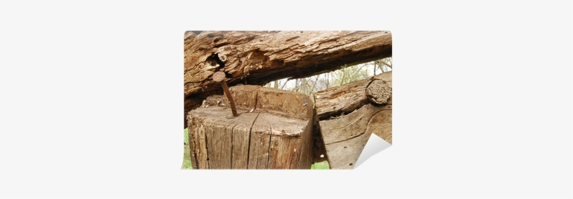Old Wood Wormed Timber And Rusty Nail Close Up Wall - Wood, transparent png #2896817