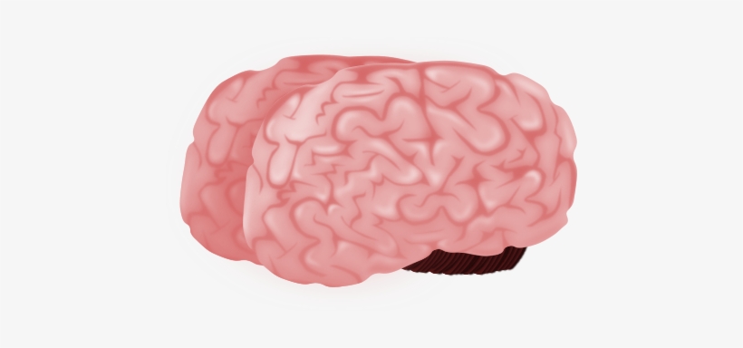 Cartoon Brain 3/4 View - Brain (as Food), transparent png #2897054