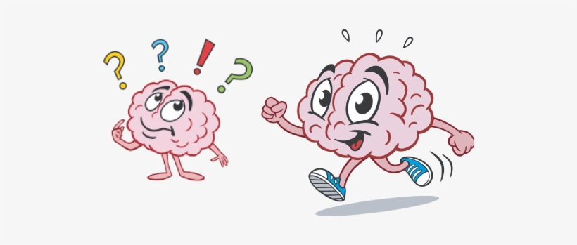 Brain Clipart Cartoon - Brain Exercise Clipart, transparent png #2897084