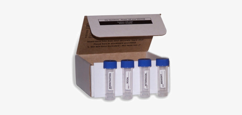 Image - Adrenal Fatigue, transparent png #2897324