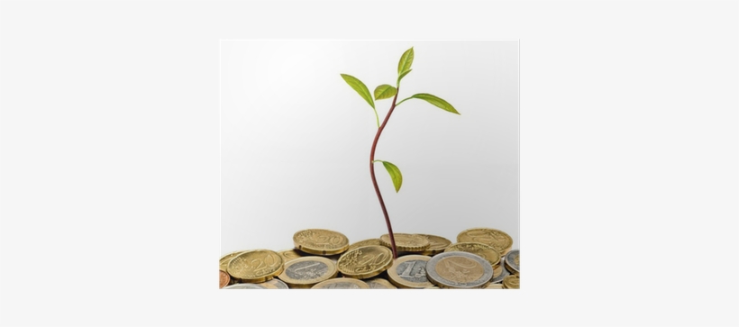 Avocado Seedling Growing From Pile Of Coins Poster - Shoot, transparent png #2898422