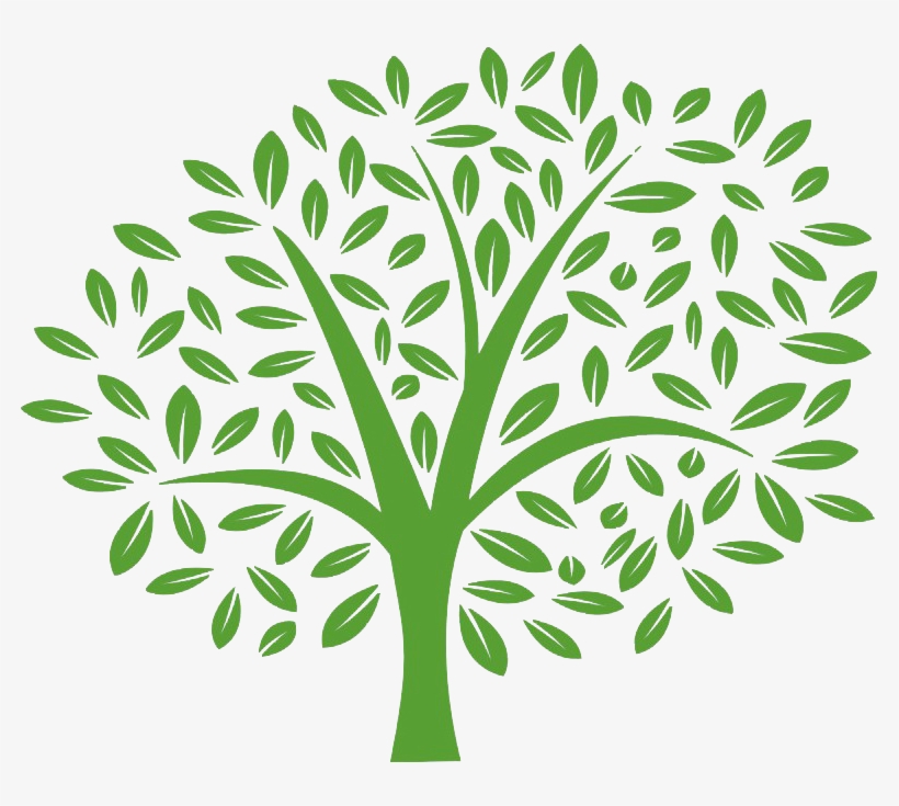 Tree-png - Comstock Inn, transparent png #2898455