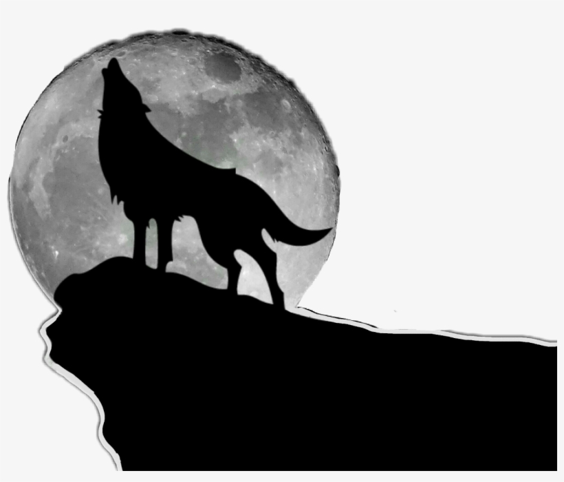 Freetoedit Wolf Moon Silhouette Howling Night Wildlife - Howling Wolf, transparent png #2898642