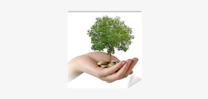 Palms With A Tree Growng From Pile Of Coins Wall Mural - Wage, transparent png #2898736