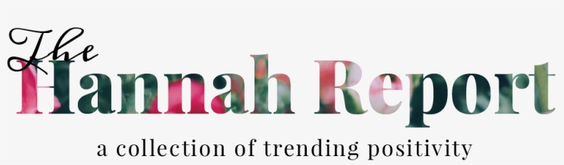 The Hannah Report - Horse, transparent png #2898873