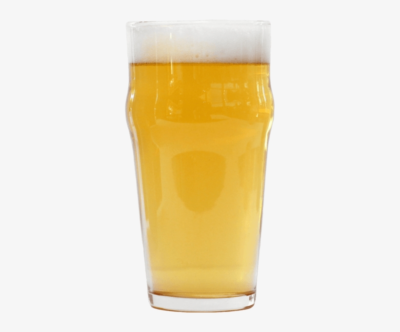 Oh My Gatos Golden Ale - Orange Soft Drink, transparent png #2899898