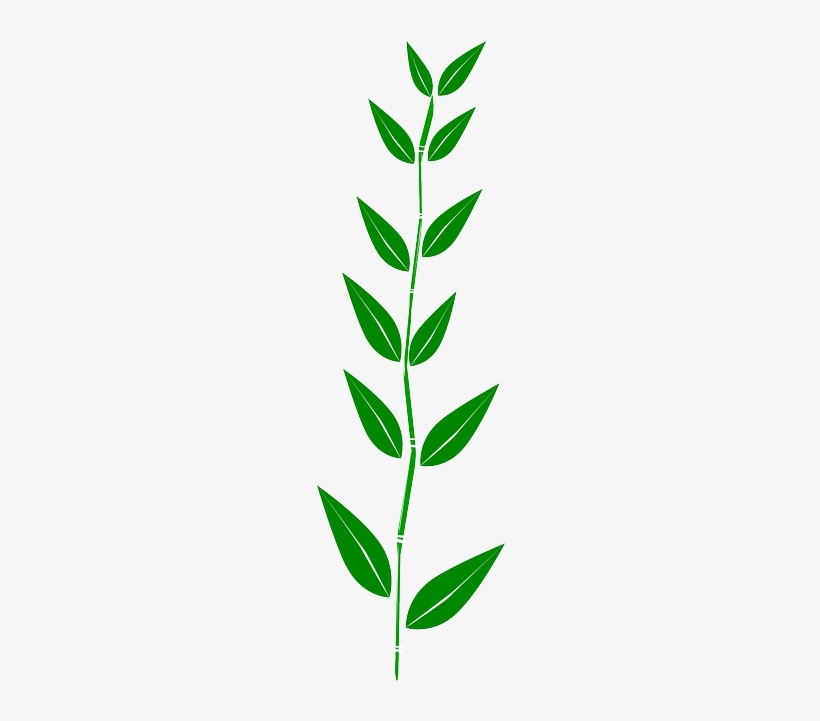 Bamboo, Leaves, Plant, Weed - Leaf Clipart Border, transparent png #290235