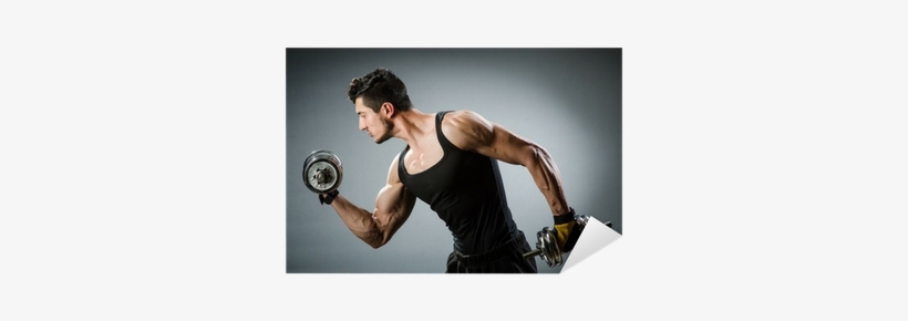 Muscular Ripped Bodybuilder With Dumbbells Sticker - Does Weight Training Increase Testosterone, transparent png #290886