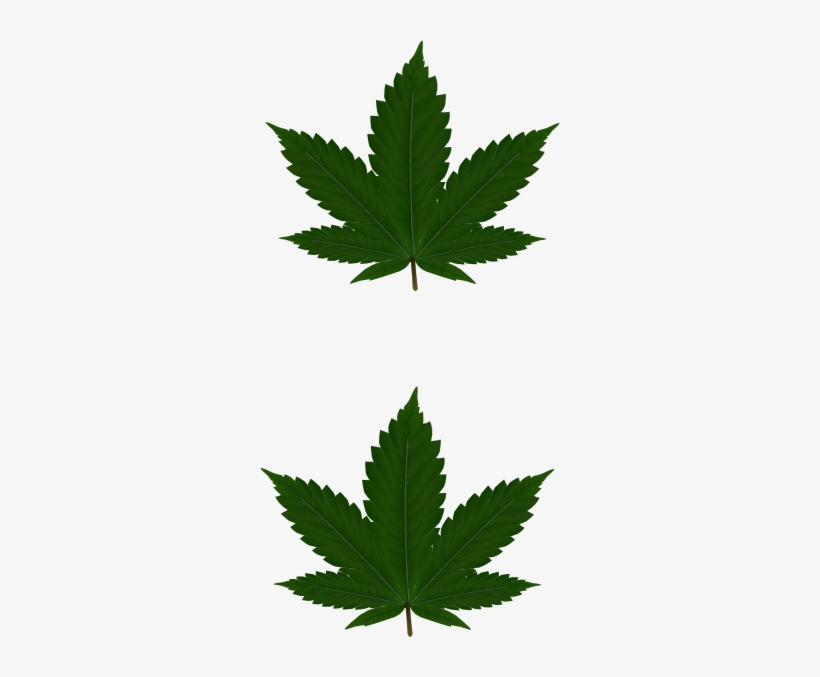Cannabis Leaves For Pasties Clip Art - Happy Canada Day 2018, transparent png #290924