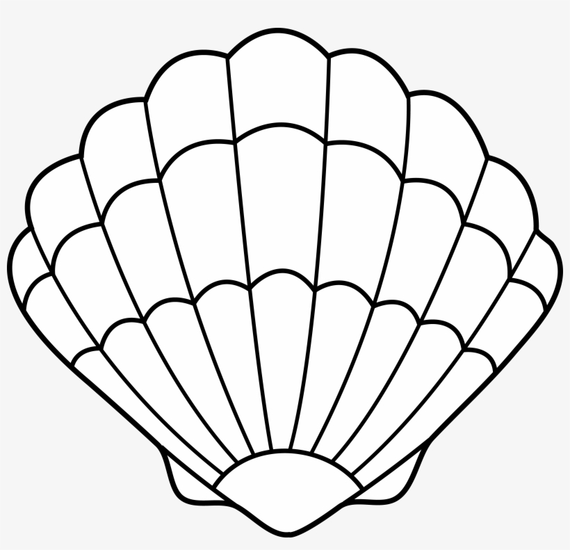 Colorable Seashell Art For The Broken Heart - Shell Clipart Black And White, transparent png #290925