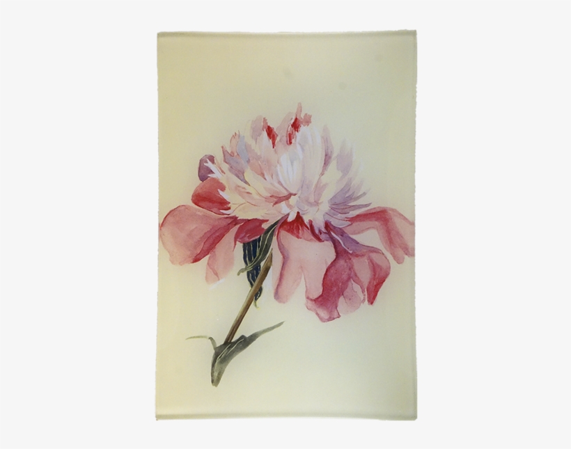 Peony, transparent png #291171