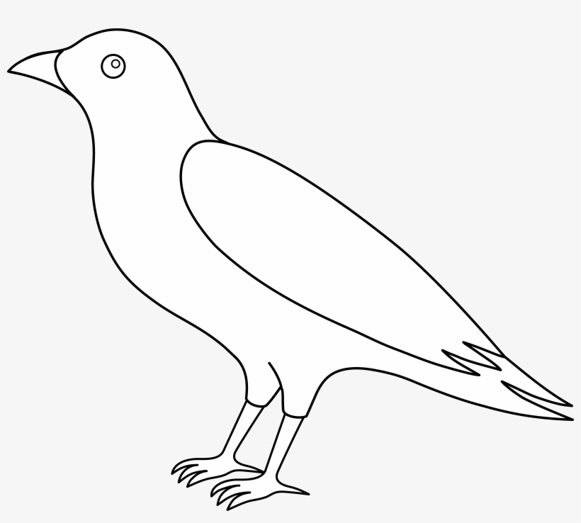 Crow Clipart Flying - Outline Picture Of Crow, transparent png #291172
