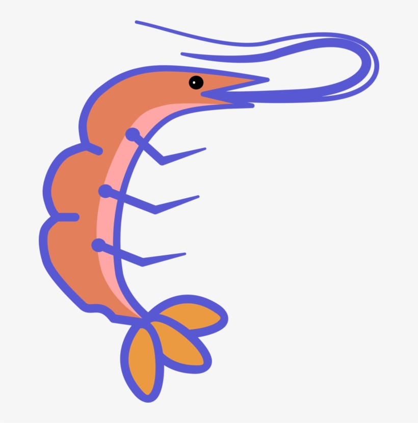 Shrimp Crab Lobster Fishing Seafood - Shrimp, transparent png #291197