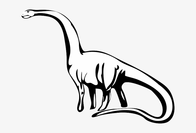 Snakeskin Drawing Dinosaur - Dinosaur Black And White, transparent png #291931