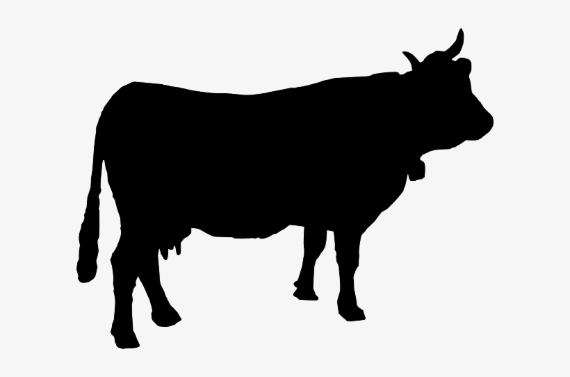 Drawn Cow Sapi - Cow Silhouette Svg, transparent png #292521