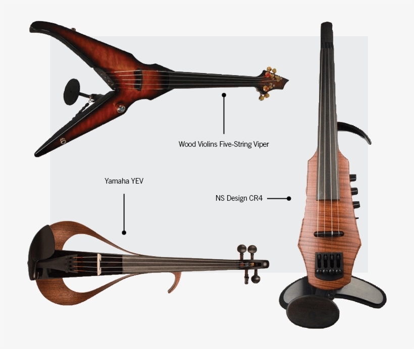 Ask Expert - Electric Violins - Viola, transparent png #292869
