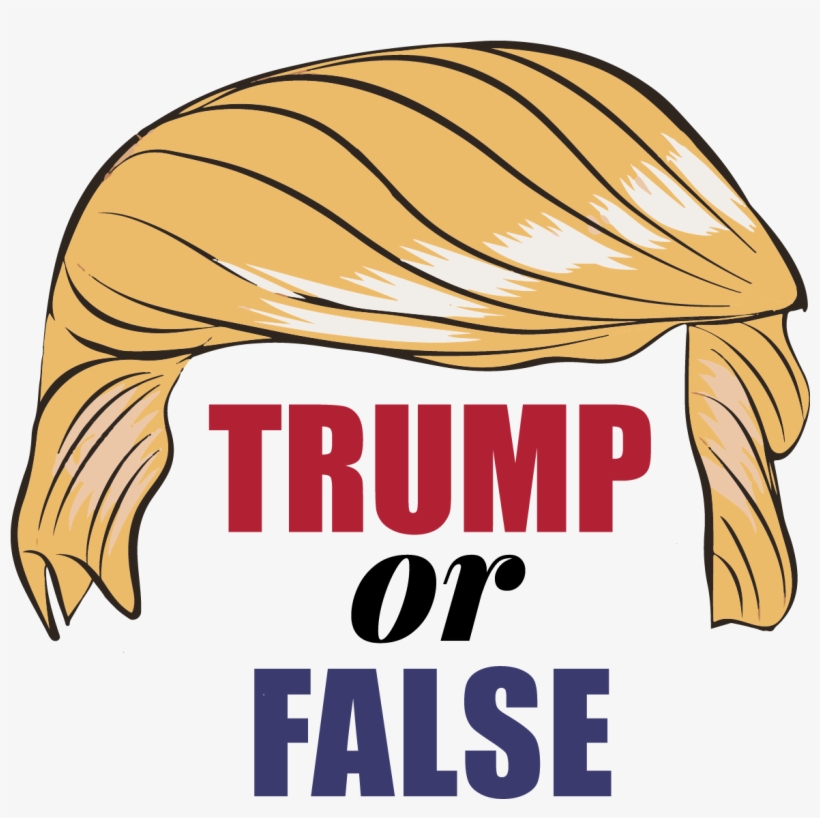 Donald Trump Has Said A Lot Of Crazy Things - True Or False Sign, transparent png #292909