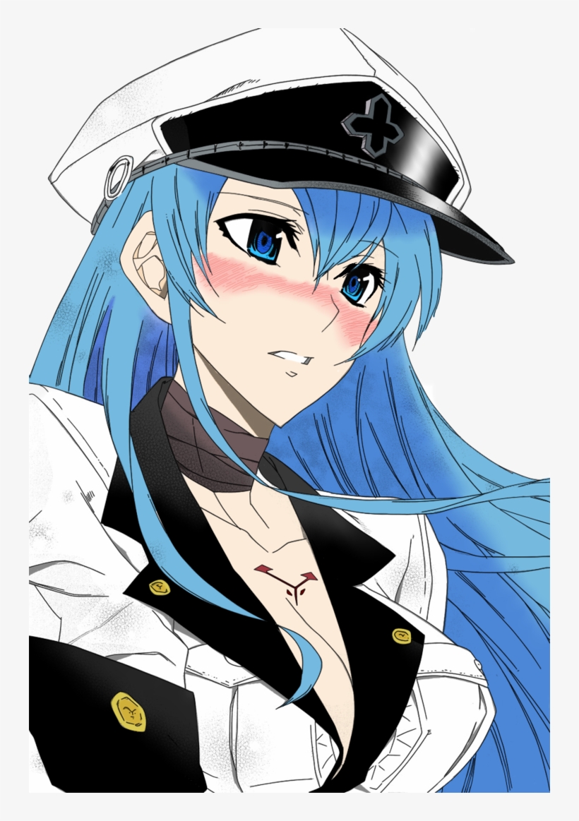 The Official Anime/manga Discussion Thread Part 16 - Akame Ga Kill นางเอก, transparent png #292997