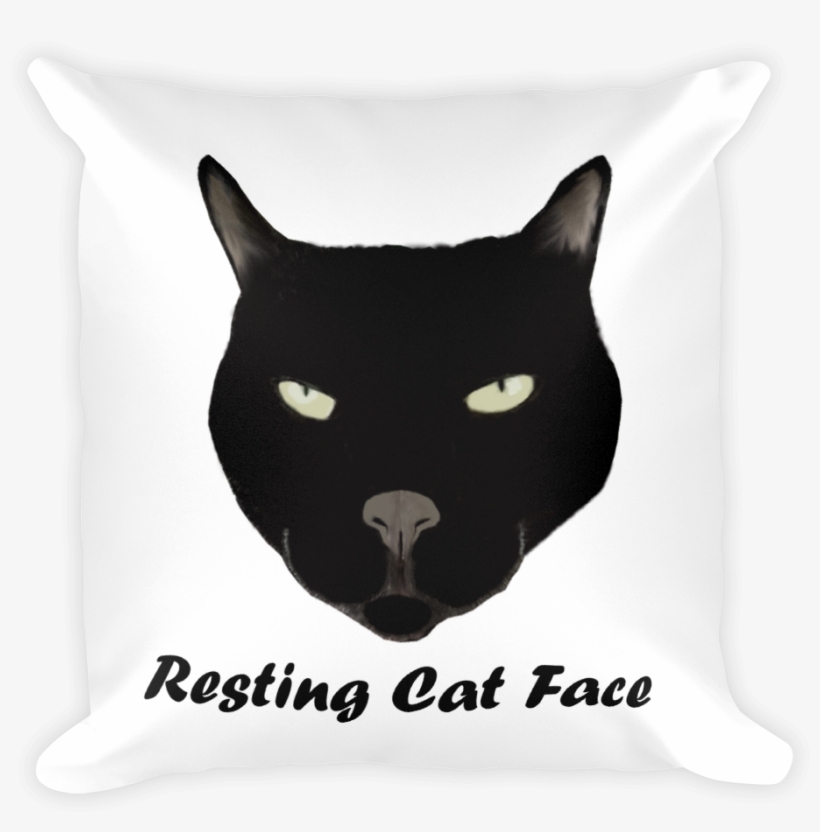 Resting Cat Face Pillow - Bar Moe, transparent png #293424