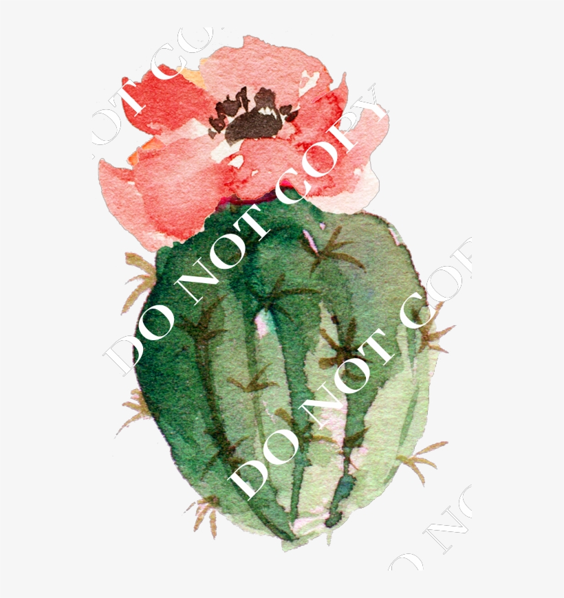Cactus - Watercolor Cactus Png, transparent png #293520